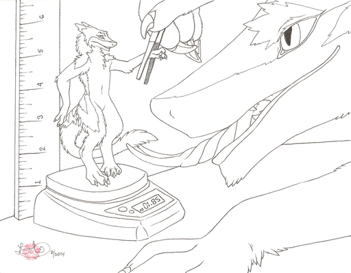 2014 epicwang forceps fumei lag_(character) macro male medical_instrument micro micro_on_macro monochrome ruler scale_(disambiguation) scientific_instrument sergal size_difference surgical_instrument tongue tongue_out tweezers // 985x765 // 262.1KB