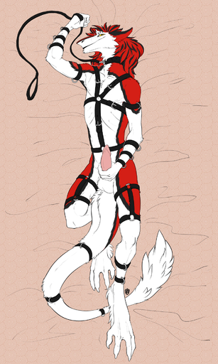 2020 3:5 anthro balls bdsm belt belt_bondage bondage bound bridge_piercing collar collar_only erection eyebrow_piercing facial_piercing firefex fur genitals hair harness harness_only hi_res leash looking_at_viewer lying male mammal nose_piercing nude on_back penis piercing presenting presenting_penis sergal solo submissive submissive_male // 1200x2000 // 1.8MB