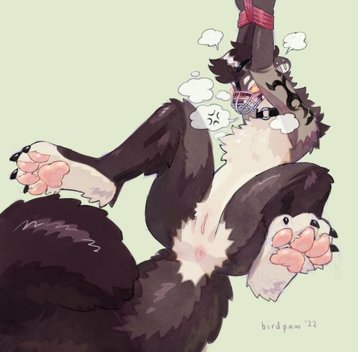 2022 4_toes andromorph angry anthro anus arm_tattoo arms_tied artist_name big_tail birdpaw_(artist) black_claws blush bound breath brown_body brown_ears brown_fur brown_hair chest_tuft claws digital_media_(artwork) ear_piercing eyebrows feet fluffy fluffy_tail fur genitals glistening glistening_hair glistening_legs glistening_pawpads glistening_tail gloves_(marking) green_background grey_body grey_fur gulonine hair harley_(moocowgoocow) hi_res industrial_piercing intersex knee_tuft leg_tuft mammal markings marten mustelid musteline muzzle_(object) muzzled pawpads piercing pine_marten pink_anus pink_pawpads pink_pussy pussy raised_arms red_rope rope simple_background solo spread_legs spreading submissive submissive_andromorph submissive_anthro submissive_intersex tail_tuft tan_body tan_fur tattoo toes tuft white_eyebrows white_eyelids yellow_sclera // 2037x2000 // 317.4KB