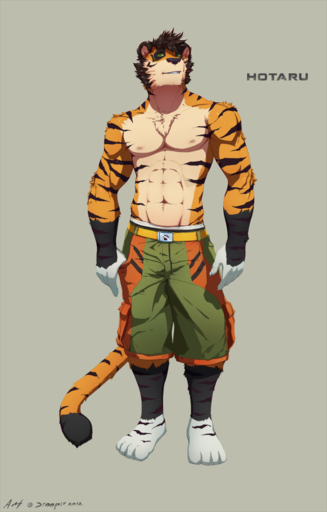 2012 abs anthro barefoot belt biceps biped bottomwear chest_tuft clothed clothing feet felid fur green_eyes hi_res male mammal muscular muscular_anthro muscular_male nipples pantherine pecs shorts solo stoopix stripes tiger topless tuft // 802x1254 // 353KB