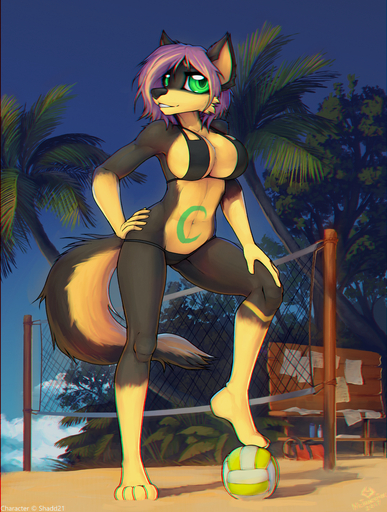 anthro ball beach big_eyes bikini breasts canid canine chromatic_aberration clothing detailed_background female hair hi_res looking_at_viewer macmegagerc mammal navel outside sand seaside side_boob smile solo sport swimwear volleyball volleyball_(ball) volleyball_net wide_hips // 1057x1400 // 2.4MB