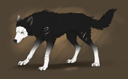 2014 ambiguous_gender black_body black_fur black_nose brown_background canid canine canis domestic_dog feral fur hauringu hi_res mammal nude paws quadruped scar simple_background solo standing white_eyes // 2000x1236 // 1.7MB