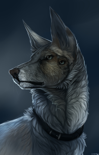 2015 absurd_res ambiguous_gender black_lips blue_eyes canid canine canis collar digital_media_(artwork) domestic_dog feral fur hi_res lips mammal shwonky simple_background solo tan_body tan_fur white_body white_fur // 1728x2699 // 2.7MB