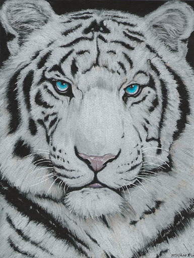 ambiguous_gender black_background blue_eyes felid feral fur leucistic looking_at_viewer mammal pantherine pink_nose portrait realistic signature simple_background solo source_request striped_body striped_fur stripes tiger truegrave9 whiskers white_body white_fur // 596x793 // 125.9KB