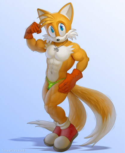 abs anthro biceps bulge canid canine clothed clothing flexing footwear fox gloves handwear hi_res jewelry male mammal miles_prower muscular muscular_male necklace pecs shoes solo topless totesfleisch8 underwear // 1044x1280 // 1.2MB
