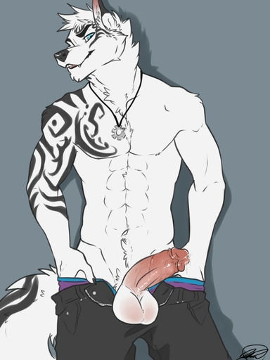 2016 3:4 abs anthro balls bambii_dog biped blue_eyes bodily_fluids bottomwear canid canine canis chest_tuft clothed clothing domestic_dog erection fur gear genital_fluids genitals hi_res husky hybrid jewelry looking_at_viewer male mammal muscular muscular_anthro muscular_male necklace nordic_sled_dog open_bottomwear open_clothing open_pants pants penis precum rex_wusky simple_background smile smirk solo spitz standing topless tuft undressing white_body white_fur wolf wolfdog // 960x1280 // 126.9KB