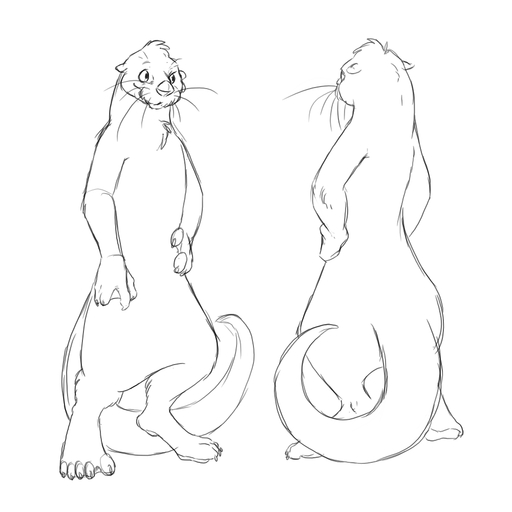 1:1 anthro chest_tuft conditional_dnp front_view fur hindpaw lutrine male mammal monochrome mustelid paws rear_view sefeiren sketch solo tuft whiskers // 1000x1000 // 153KB