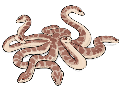 7_heads ambiguous_gender feral hi_res keadonger multi_head reptile scalie scp-1645 scp_foundation simple_background snake solo // 1856x1356 // 983.2KB