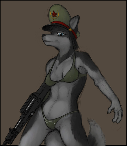 a-91 anthro bikini blue_eyes canid canine canis clothed clothing domestic_dog female gun hammer_and_sickle hat headgear headwear husky ipoke mammal military nordic_sled_dog ranged_weapon russian sketch skimpy solo soviet_union spitz swimwear weapon // 870x1000 // 251.5KB