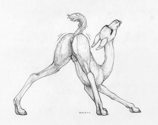 2016 animal_genitalia animal_pussy anus butt camelid camelid_pussy ecmajor eyes_closed female feral genitals greyscale llama mammal monochrome presenting presenting_hindquarters pussy raised_tail sketch solo teats tongue tongue_out traditional_media_(artwork) udders // 1121x886 // 877.1KB