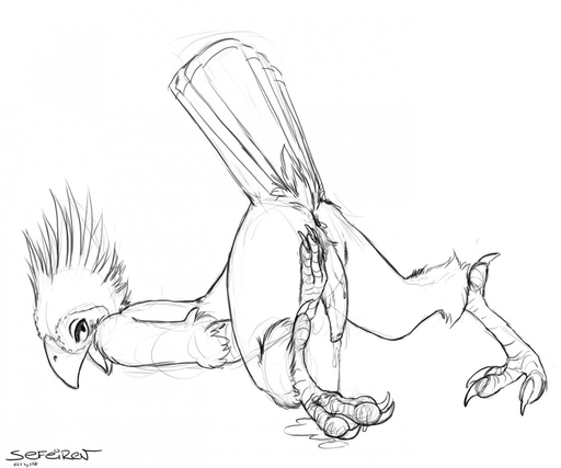 anthro anus ass_up avian beak bird bird_feet bodily_fluids butt conditional_dnp cum edit erection feathers genital_fluids genitals hoatzin looking_at_viewer male messy monochrome nude penis presenting presenting_hindquarters sefeiren simple_background solo tail_feathers tapering_penis white_background // 1280x1067 // 203.0KB