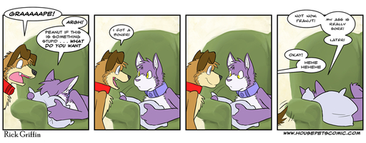 anthro canid canine canis collar comic dialogue domestic_cat domestic_dog duo edit english_text felid feline felis female flat_chested furniture grape_jelly_(housepets!) male mammal peanut_butter_(housepets!) pillow rick_griffin sofa text url webcomic webcomic_character // 913x358 // 258.0KB
