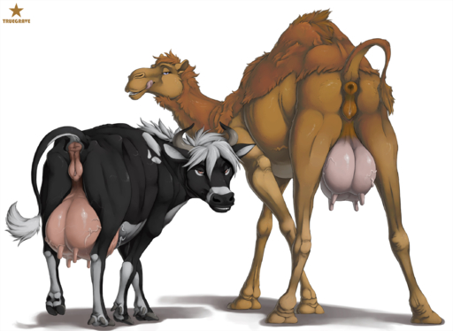 2020 anatomically_correct anatomically_correct_genitalia anatomically_correct_pussy animal_genitalia animal_pussy anus bedroom_eyes bovid bovine bovine_pussy butt calira_(mcfan) camel camelid cattle duo female feral genitals hi_res licking licking_lips looking_at_viewer looking_back mammal narrowed_eyes presenting presenting_anus presenting_hindquarters presenting_pussy presenting_teats pussy raised_tail seductive simple_background teats teeth tongue tongue_out truegrave9 udders veiny_udders // 2400x1755 // 2.3MB
