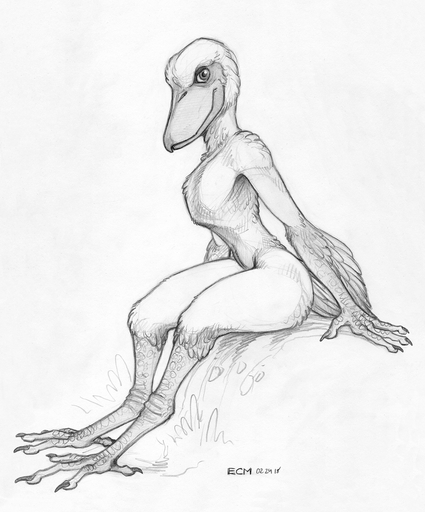 2018 4_fingers 4_toes ambiguous_gender anisodactyl anthro arm_tuft avian beak biped bird bird_feet claws ecmajor feather_tuft feathers feet fingers full-length_portrait greyscale keel leaning leaning_forward looking_aside looking_away monochrome nude pelecaniform portrait scuted_arms scutes shadow shoebill side_view simple_background sitting slim smile solo tail_feathers talons toe_claws toes traditional_media_(artwork) tuft white_background // 942x1135 // 882.7KB
