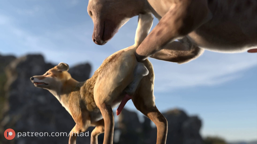16:9 2022 3d_(artwork) 3d_animation anal anal_fisting anal_penetration animal_genitalia animal_penis animated anus backsack balls breath butt canid canine digital_media_(artwork) duo feral feral_penetrated fisting fox genitals hi_res hiad high_framerate hyaenid loop lost_my_keys male malemale male_focus male_penetrated mammal penetration penis red_fox sex short_playtime sound spotted_hyena text url vulpes webm widescreen // 1920x1080, 21.3s // 17.3MB