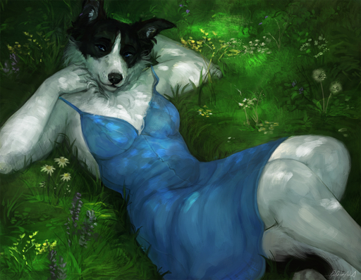 2016 anthro ava_(axisangle) black_body black_fur black_nose blue_eyes border_collie breasts canid canine canis clothed clothing collie conditional_dnp digital_media_(artwork) domestic_dog dress english_text female flower fluffy fur grass half-closed_eyes herding_dog looking_at_viewer lying mammal narrowed_eyes on_back oouna pastoral_dog plant sheepdog signature smile solo text tuft white_body white_fur // 1350x1050 // 978.2KB