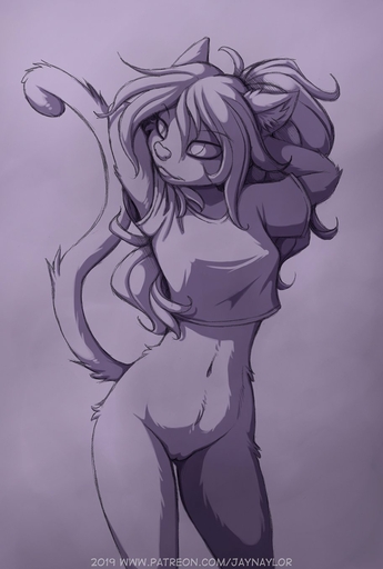 2019 anthro bethany_(jay_naylor) bottomless breasts casual_exposure clothed clothing cocked_hip conditional_dnp digital_media_(artwork) domestic_cat felid feline felis female fur genitals hands_behind_head hi_res jay_naylor mammal navel pussy simple_background solo // 912x1355 // 107.2KB