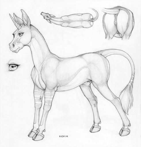 2014 anatomically_correct anatomically_correct_genitalia anatomically_correct_pussy animal_genitalia animal_pussy anus butt ecmajor equid equine equine_pussy equustra_(ecmajor) female feral genitals graphite_(artwork) greyscale hooves horn horse mammal model_sheet monochrome pencil_(artwork) pussy side_view simple_background solo teats traditional_media_(artwork) unicorn // 1086x1135 // 1.2MB