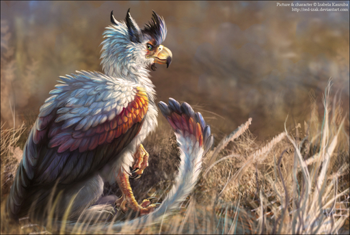 ambiguous_gender angry avian beak day detailed detailed_background emotions feathered_wings feathers feels feral green_eyes gryphon lologryph looking_back mythological_avian outside realistic red-izak sitting solo watermark wings // 997x669 // 497.7KB