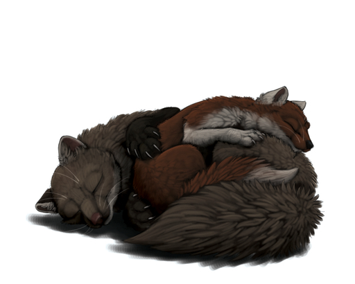 2016 5:4 5_toes ambiguous_gender black_body black_fur black_nose brown_body brown_fur brown_nose claws cuddling digital_media_(artwork) duo eyes_closed feet feral fluffy fur guide_lines gulonine ipoke lying mammal marten marvin_(forest_tails) multicolored_body multicolored_fur mustelid musteline pine_marten red_body red_fur shadow simple_background sleeping toes two_tone_body two_tone_fur whiskers white_background white_body white_fur // 1000x800 // 453.5KB