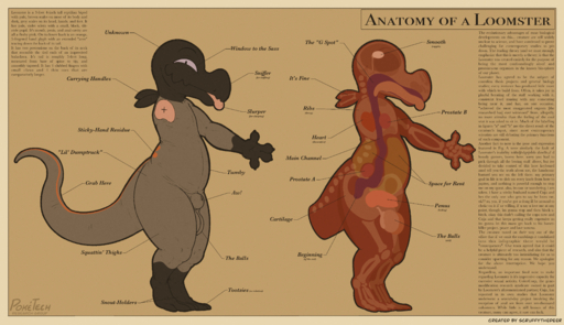 4_fingers 4_toes absurd_res anatomical_diagram anatomy animal_genitalia anthro balls diagram english_text feet fingers gecko genitals hi_res humor lizard lol_comments loomster male model_sheet penis pokemon_(species) profanity reptile salandit scalie scruffythedeer sheath solo text toes video_games // 4078x2346 // 7.1MB