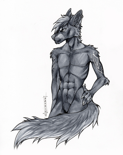 2018 5_fingers abs anthro canid canine ear_piercing fingers fur grey_body grey_eyes grey_fur grey_hair grey_nose hair hauringu male mammal piercing sketch solo traditional_media_(artwork) // 794x1000 // 444KB