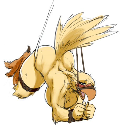 anthro avian bdsm beak big_breasts bird bondage bound breasts chocobo feathers female final_fantasy non-mammal_breasts nude open_mouth simple_background solo square_enix submissive submissive_female suspension thick_thighs tzarvolver video_games white_background // 848x893 // 481.3KB