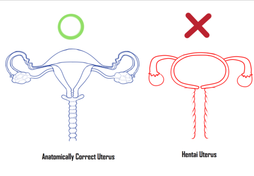 anatomically_correct crossman how-to uterus // 792x550 // 75.3KB