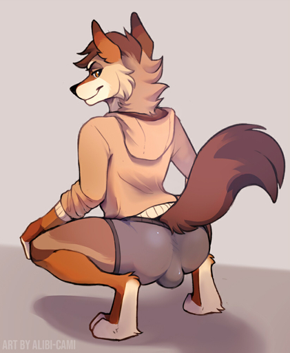 alibi-cami anthro arched_back arms_bent bedroom_eyes bent_legs brown_body brown_fur bulge butt canid canine canis clothing crouching dipstick_tail fur genitals hands_on_knees hands_on_legs hands_on_own_knees hands_on_own_legs holding_knees holding_legs hoodie looking_at_viewer looking_back looking_back_at_viewer male mammal multicolored_body multicolored_tail narrowed_eyes seductive simple_background smile smirk solo squat_position topwear underwear // 822x1000 // 204.5KB