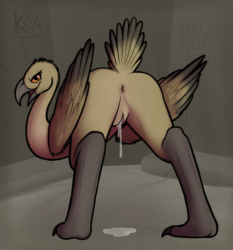 avian beak bird feathered_wings feathers female feral genitals hi_res keadonger looking_at_viewer monster open_mouth pussy scp-1849 scp_foundation smile solo wings // 1748x1875 // 2.5MB