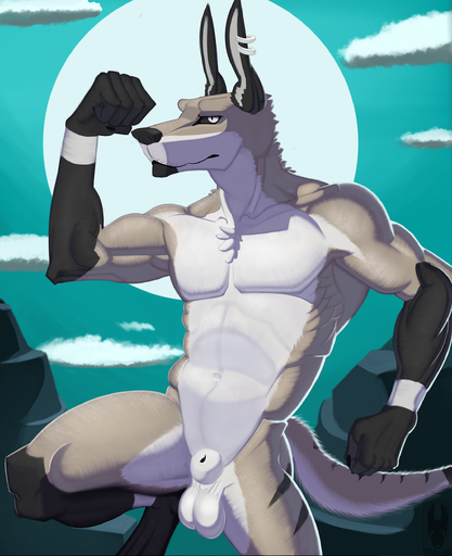 absurd_res animal_genitalia anthro balls canid canine canis coyote ear_piercing ear_ring fully_sheathed genitals hi_res male mammal muscular muscular_anthro muscular_male piercing sheath simple_background solo standing travon travon_(character) // 2037x2500 // 3.6MB