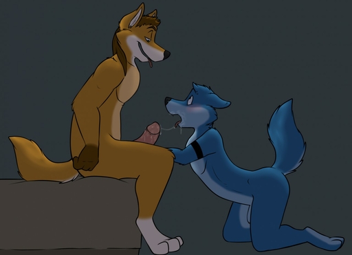 3_toes 4_fingers anthro anthro_on_anthro arm_markings bed bedding black_markings black_nose blue_body blue_countershading blue_fur blue_tail blush bodily_fluids brown_hair canid canine canis cheek_tuft countershade_face countershade_tail countershade_torso countershading cum cum_drip cum_from_mouth cum_in_mouth cum_inside cum_on_face cum_on_penis cum_on_self cum_on_tongue cum_string dripping duo ears_back erection eye_contact eyebrow_piercing eyebrows facial_piercing facial_tuft feet fingers fist foreskin fox fur furniture genital_fluids genitals glans gloves_(marking) grey_background hair half-closed_eyes head_tuft humanoid_genitalia humanoid_penis inner_ear_fluff leg_markings looking_at_another looking_down looking_up male malemale mammal markings multicolored_body multicolored_fur narrowed_eyes nude on_bed open_mouth open_smile orange_body orange_fur orange_tail penis piercing pink_penis pink_tongue pivoted_ears raised_tail retracted_foreskin robbie_(rotten_robbie) rotten_robbie short_hair shoulder_tuft side_view simple_background sitting smile socks_(marking) tan_body tan_countershading tan_fur teeth toes tongue tongue_out tuft two_tone_body two_tone_fur two_tone_tail white_body white_countershading white_fur white_tail wolf // 1280x927 // 73.1KB