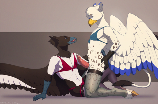 anthro anthro_on_anthro avian balls beak bird bottomless bra clothed clothing corvid crossdressing duo equid equine erection eurasian_magpie feathered_wings feathers genitals girly gryphon hippogriff holarctic_magpie horse imminent_sex kneeling kumagoro legwear lingerie lunalei magpie_(corvid) male malemale mammal mythological_avian oscine panties passerine penis sephirothiel stockings tongue underwear wings // 1200x793 // 806.5KB