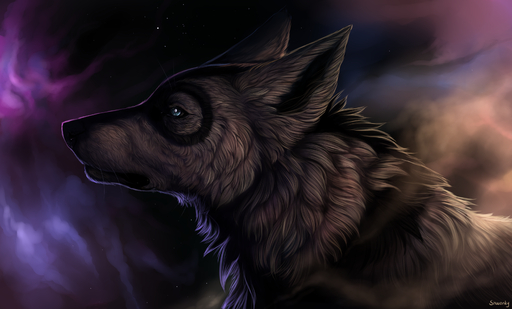 2015 absurd_res ambiguous_gender black_lips black_nose blue_eyes canid canine canis detailed_background digital_media_(artwork) domestic_dog feral fur hi_res lips mammal night outside shwonky sky solo star starry_sky white_body white_fur // 3309x2000 // 4.3MB