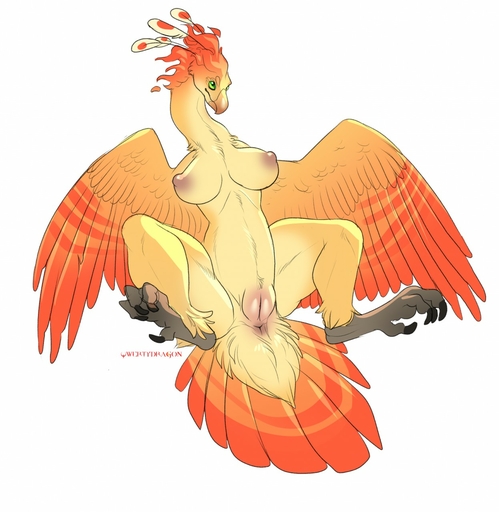 2016 anus areola avian big_breasts breasts busty_feral claws english_text european_mythology feathered_wings feathers female feral genitals greek_mythology hi_res mythological_avian mythological_firebird mythology nipples non-mammal_breasts nude orange_body orange_feathers phoenix pink_nipples plump_labia pussy qwertydragon red_body red_feathers semi-anthro signature solo spread_legs spreading text toe_claws wings yellow_body yellow_feathers // 1247x1280 // 204.3KB