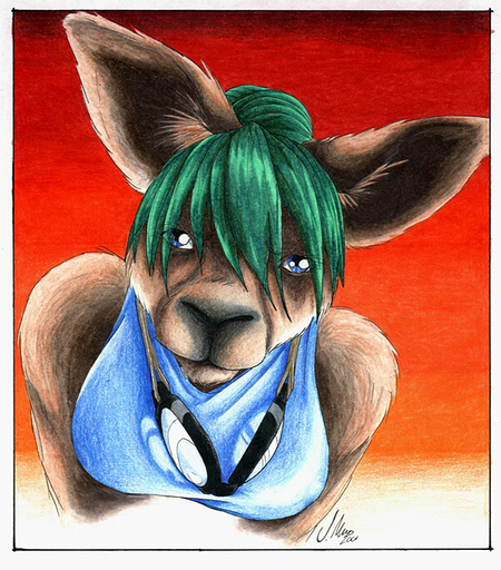 2001 anthro bust_portrait clothed clothing conditional_dnp eyewear female forced_perspective fur goggles kangaroo looking_at_viewer macropod mammal marsupial portrait sefeiren skimpy solo // 600x682 // 227.5KB