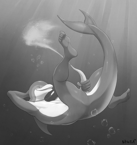2018 5_toes adleisio_(character) anatomically_correct anatomically_correct_genitalia anatomically_correct_penis animal_genitalia animal_penis anthro black_and_white bodily_fluids bubble cetacean cetacean_penis cum cum_in_water cum_underwater cumshot delphinoid digital_media_(artwork) ejaculation erection eyes_closed feet fin genital_fluids genitals hand_behind_head hi_res humanoid_feet jewelry male mammal marine masturbation monochrome nawka necklace nude open_mouth orgasm penile penile_masturbation penis smile solo tapering_penis toes toothed_whale underwater water white-beaked_dolphin // 1208x1280 // 131.3KB