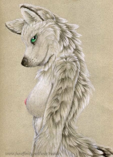 anthro breasts canid canine canis female fluffy fur green_eyes grey_body grey_fur half-length_portrait looking_aside looking_at_viewer mammal nipples nude portrait ruaidri side_view solo wolf // 450x622 // 65.1KB