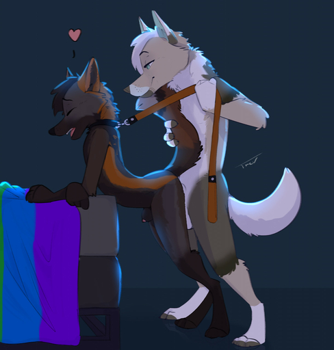 <3 anal anal_penetration animal_genitalia anthro anthro_on_anthro anthro_penetrated anthro_penetrating anthro_penetrating_anthro arched_back balls bent_over black_body black_fur black_sheath canid canine canis collar collar_only cross_fox duo eyes_closed fox from_behind_position fur genitals hi_res holding_leash holding_object leash male malemale male_penetrated male_penetrating male_penetrating_male mammal multicolored_body multicolored_fur penetration penis penis_tip rai red_fox romantic romantic_couple sex sheath side_view trevart tyler_(tylerthefox) vulpes wolf // 1221x1280 // 158.8KB