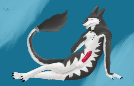 2019 anthro balls blue_eyes claws collar digital_media_(artwork) digital_painting_(artwork) erection fur goran_novak grey_body grey_fur handsomest hi_res lying male mammal nude penis presenting sergal simple_background smile solo white_body white_fur // 2571x1655 // 2.3MB