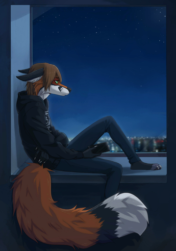 2017 4_toes absurd_res anthro biped black_body black_fur black_nose blurred_background bottomwear brown_hair canid canine clothing denim denim_clothing depression digitigrade ears_back egsaku_(character) feet fox fur gloves_(marking) green_eyes hair hi_res holding_object hoodie jeans male mammal markings multicolored_body multicolored_fur night orange_body orange_fur pants pivoted_ears side_view sitting sky solo toes topwear two_tone_body two_tone_fur upset viskasunya white_body white_fur // 2802x4000 // 2.0MB