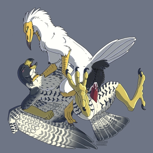 1:1 4_toes accipitrid accipitriform anisodactyl anthro anus avian beak bird bird_feet blush bodily_fluids breasts claws cowgirl_position cum cum_in_pussy cum_inside duo egyptian_vulture eyelashes eyes_closed falcon falconid feathers feet female from_front_position genital_fluids genitals hi_res looking_pleasured lying male malefemale nipples non-mammal_breasts old_world_vulture on_back on_bottom on_top penis peregrine_falcon pussy sex shinigamisquirrel smile tail_feathers talons tiercel toe_claws toes vulture white_body white_feathers wings // 1280x1280 // 259.0KB