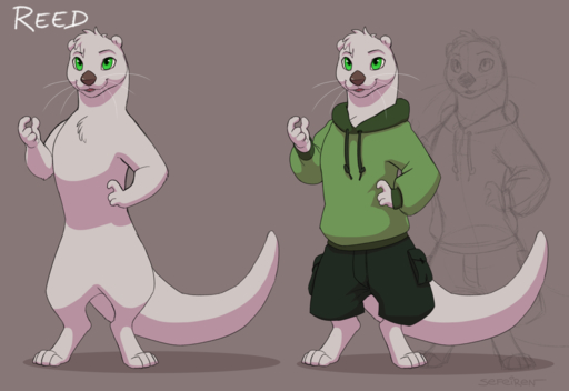 2016 anthro biped bottomwear brown_nose clothed clothing conditional_dnp digitigrade featureless_crotch fur green_eyes hoodie lutrine male mammal mustelid nude otterface reed_(sefeiren) sefeiren shorts solo standing thick_tail topwear whiskers white_body white_fur // 1280x880 // 353.3KB