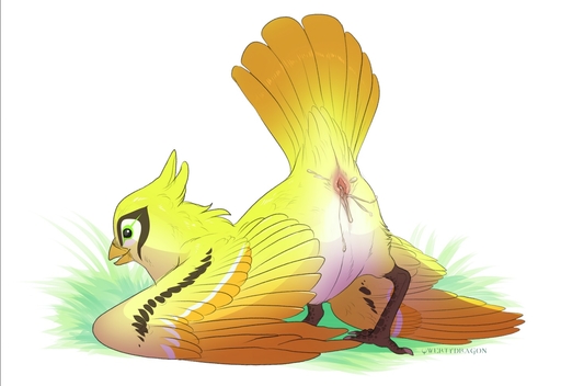 2016 ambiguous_gender anatomically_correct animal_genitalia ass_up avian beak bird blizzard_entertainment bodily_fluids butt claws cloaca cum digital_media_(artwork) feathered_wings feathers feet feral ganymede_(overwatch) genital_fluids genitals grass looking_at_viewer nude overwatch plant pose presenting presenting_hindquarters qwertydragon raised_tail simple_background solo tail_feathers talons toes video_games white_background wings yellow_body yellow_feathers // 1410x970 // 214.0KB