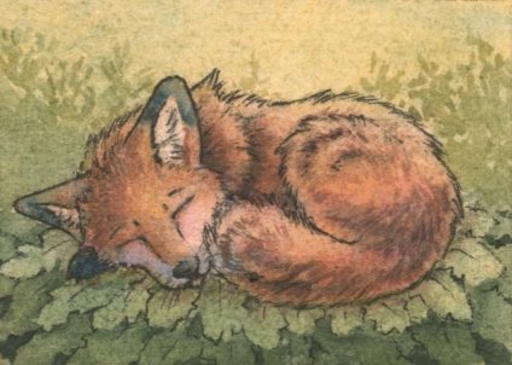 ambiguous_gender black_body black_fur black_nose canid canine curled_up day dipstick_ears eyes_closed feral fox fur low_res mammal multicolored_ears orange_body orange_fur orange_tail outside plant ruaidri sleeping solo whiskers white_body white_fur // 424x302 // 28.4KB