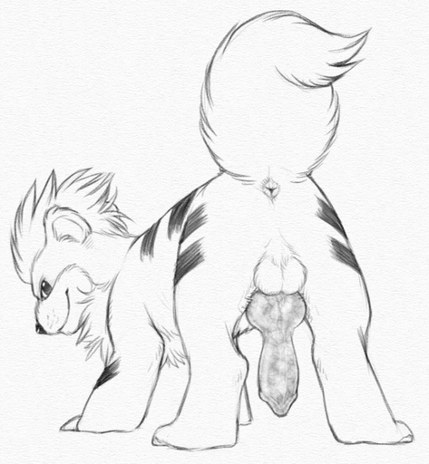 2015 animal_genitalia animal_penis anus backsack balls butt canid canine canine_penis erection feral genitals graphite_(artwork) growlithe knot looking_at_viewer looking_back male mammal monochrome nintendo pencil_(artwork) penis pokemon pokemon_(species) raised_tail simple_background smile solo traditional_media_(artwork) video_games white_background yaroul // 778x843 // 484.8KB