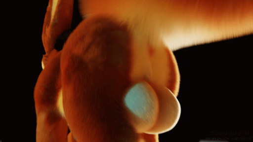 2020 3d_(artwork) 3d_animation all_fours animated anus backsack balls big_balls bouncing_balls brown_body brown_fur butt canid canine digital_media_(artwork) fennec feral fox fur genitals kuroodod male mammal rear_view sam_(changing_fates) short_playtime solo vulpes walking // 900x506 // 7.5MB