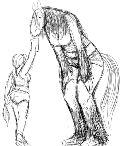 2018 5:6 anthro asinus beverage black_and_white bottomwear clothed clothing donk_sis donkey draft_horse drinking_straw duo equid equine feathering female fetlocks fur hair hairy hi_res hladilnik horse mammal monochrome shirt shorts simple_background size_difference sketch standing tall tank_top tinker_(hladilnik) topwear // 1280x1536 // 750.3KB