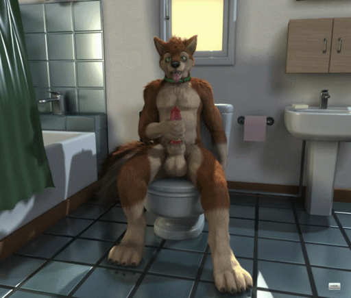3d_(artwork) 3d_animation animated anthro balls bathroom big_balls big_penis breath canid canine canis digital_media_(artwork) domestic_dog erection genitals h0rs3 knot male mammal masturbation mutt_(character) nude panting penile penile_masturbation penis presenting short_playtime solo spread_legs spreading toilet tongue tongue_out // 596x506 // 8.9MB