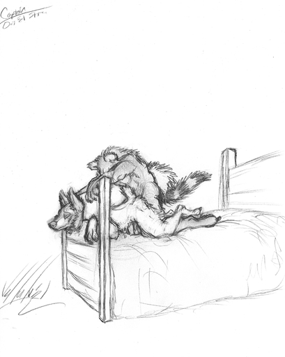 absurd_res actry anal anal_penetration anthro bdsm bed bondage bound canid canine captain_(willplay1a) duo fox furniture hi_res hybrid male malemale mammal monochrome penetration procyonid raccoon restraints stocks vellum // 2680x3358 // 1.4MB